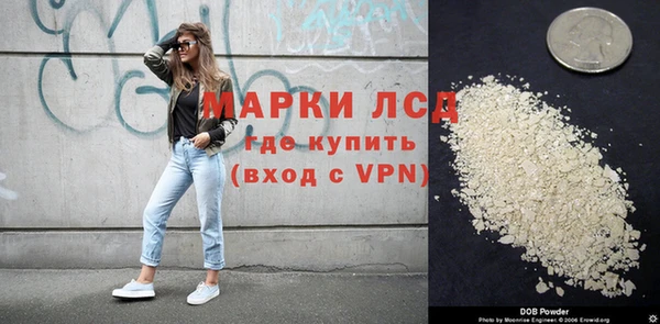 спиды Аркадак