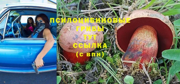 ALPHA PVP Армянск