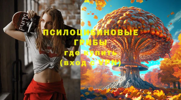 ALPHA PVP Армянск